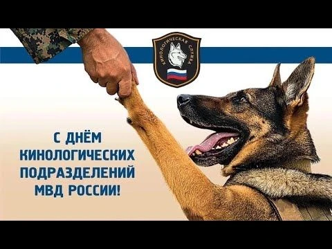 С Днем кинолога!