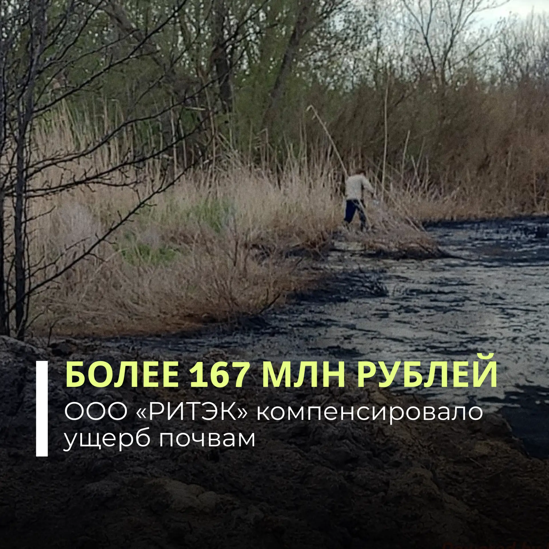 ООО «РИТЭК» по требованию Росприроднадзора возместило вред почвам, причиненный разливом нефтепродукт