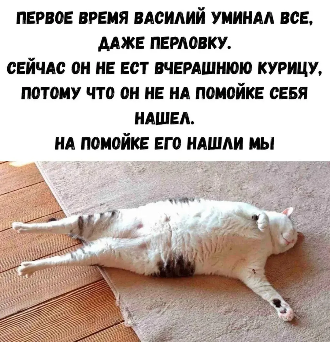 Улётные приколы - Подписаться