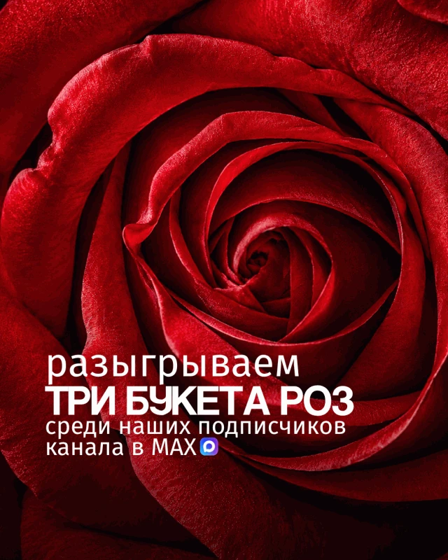 Мы очень любим дарить вам яркие эмоции и цветы, поэтому решили объединить это в наших е...