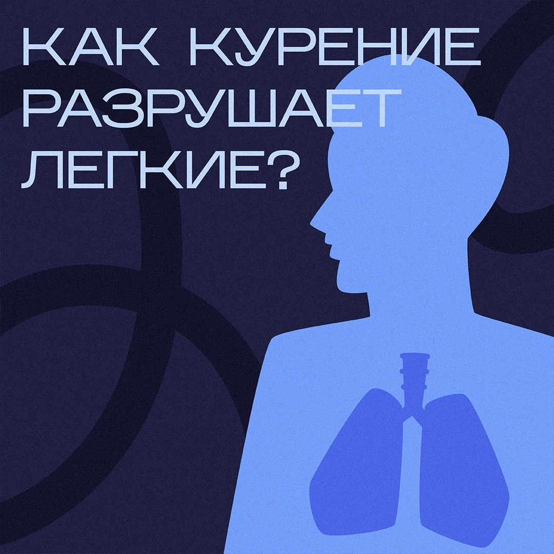 😮‍💨 1 кг смол за год: как легкие страдают из-за курения?