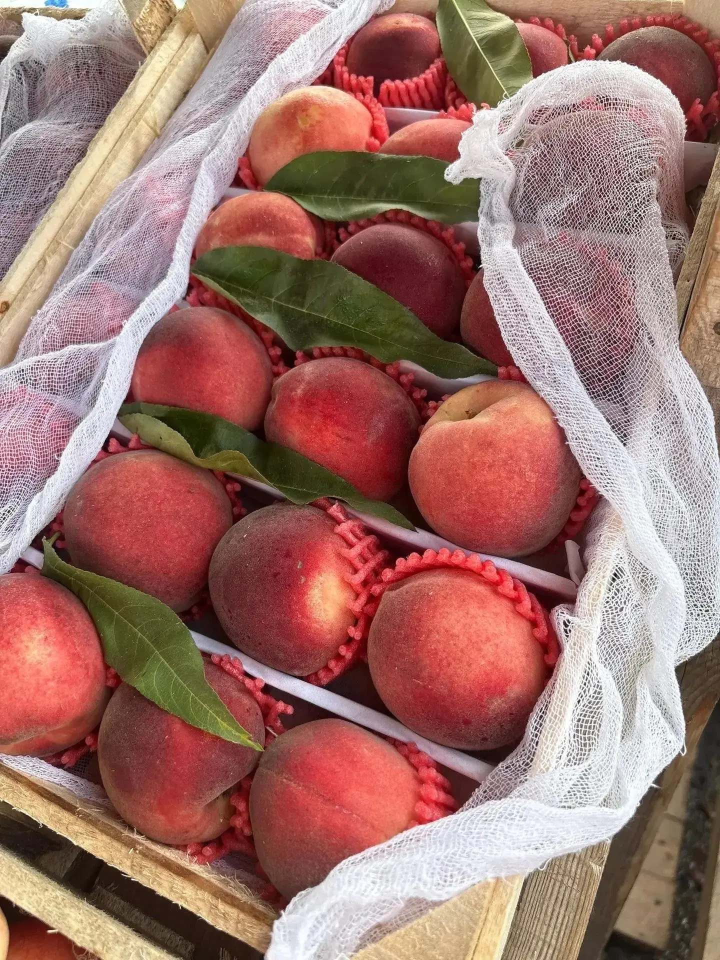 СВЕЖИЕ ЯГОДЫ И МОРЕПРОДУКТЫ — НЕ ВЫХОДЯ ИЗ ДОМА🍓🍤🐟