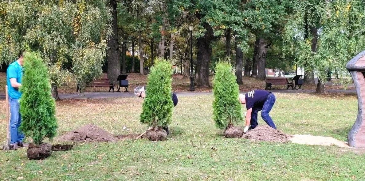 Благоустройство у «Книжного шкафа»