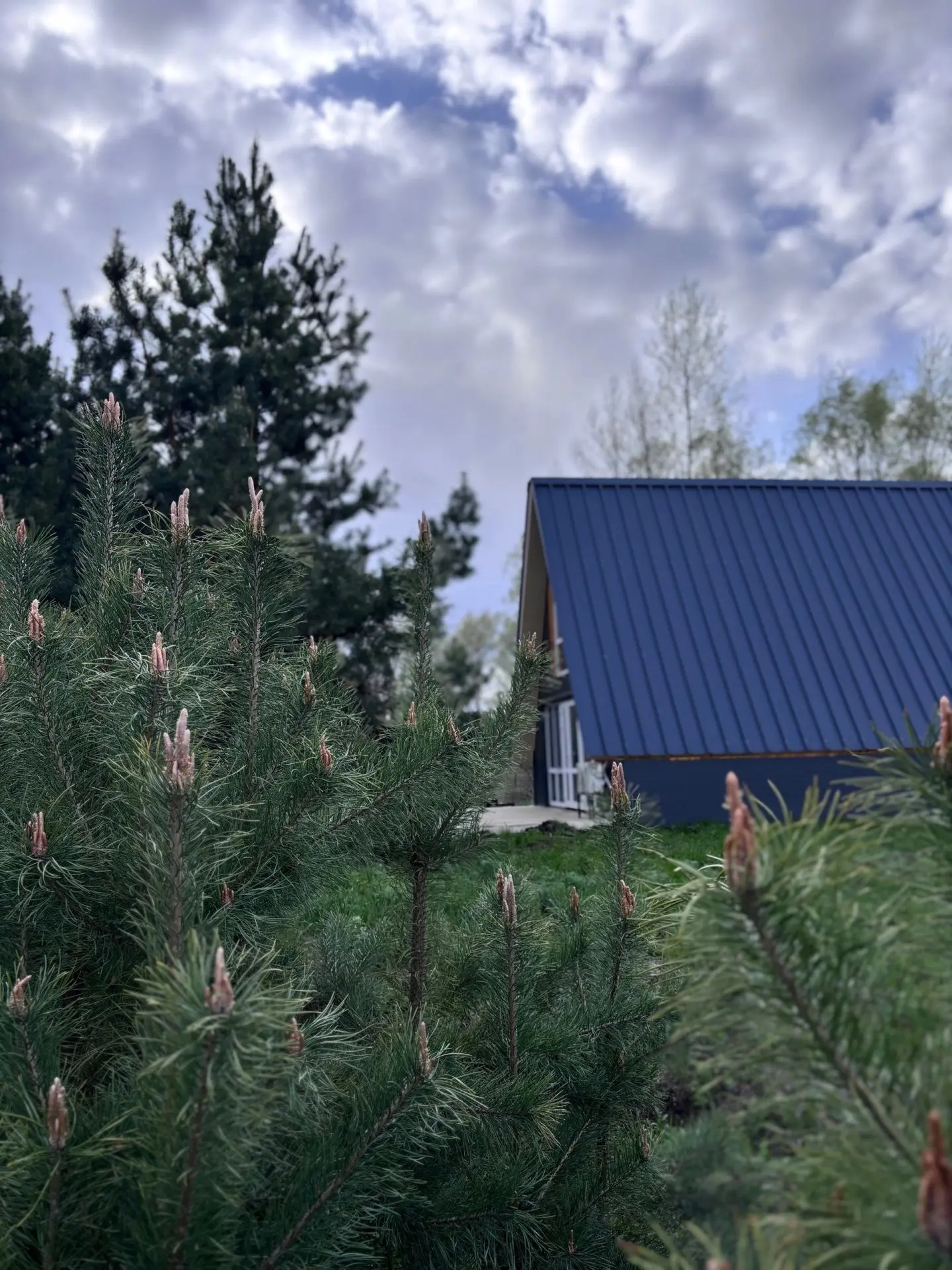 🏡Сдается стильный и уютный A-frame домик для отдыха на природе. Отличное место, чтобы ...