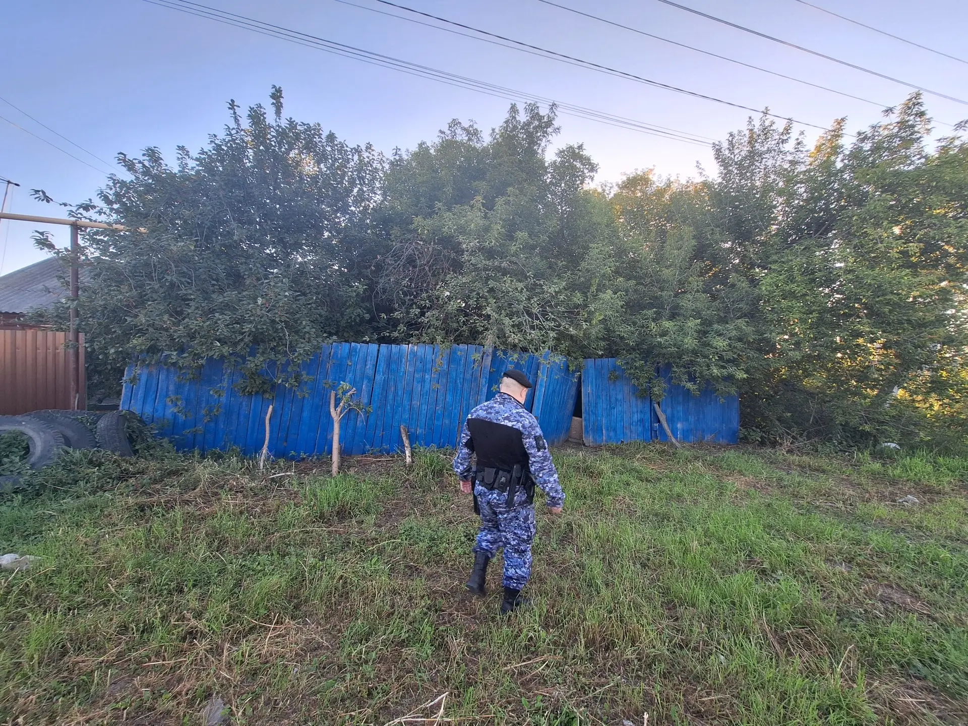 В Новосибирской области приставы нашли алиментщика, прятавшегося в сарае