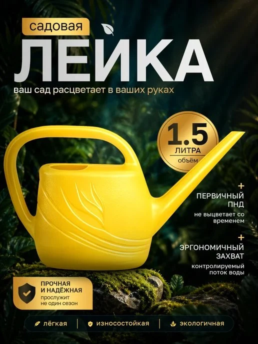 🔥 ЦЕНА РУХНУЛА НА 62%!