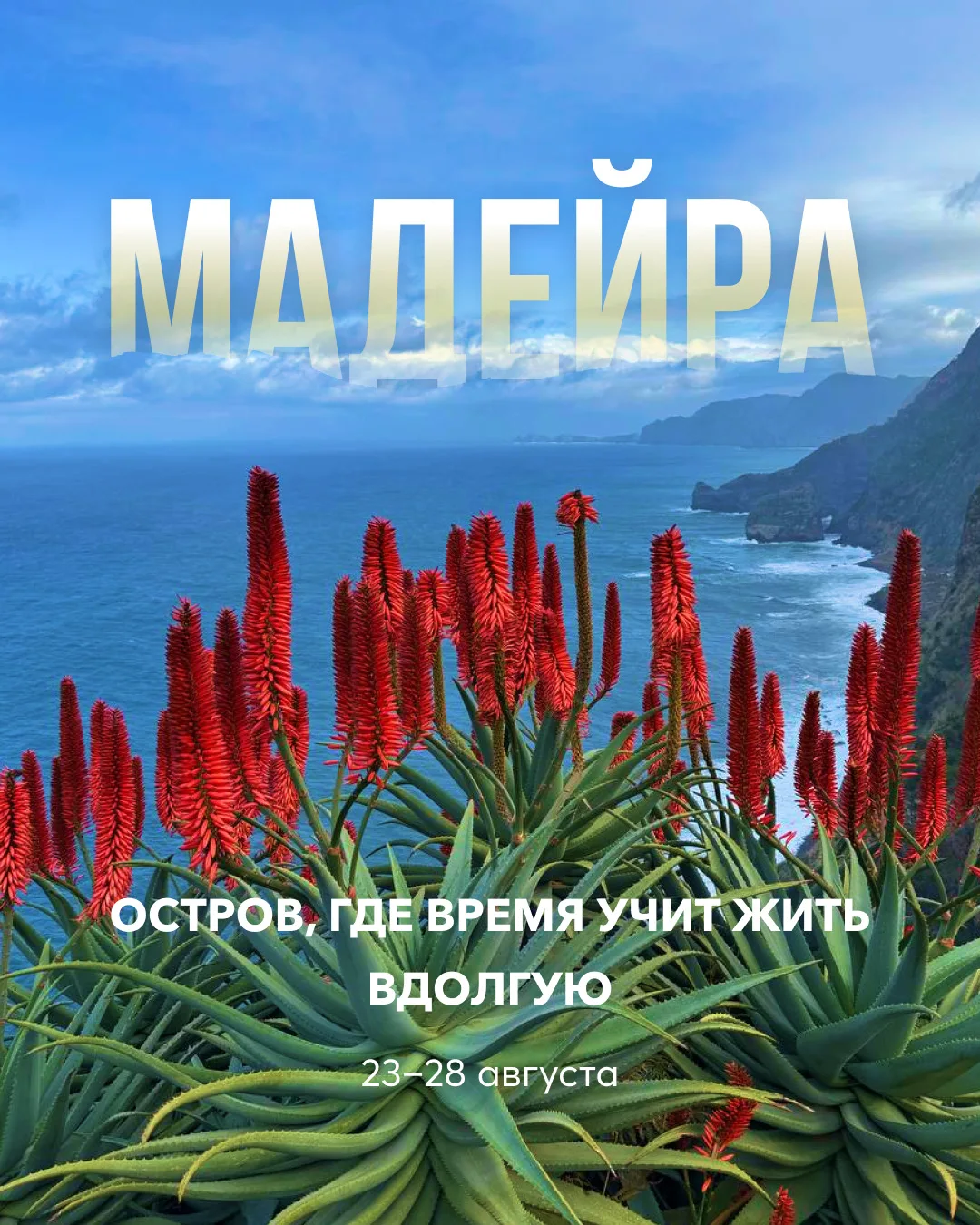 Долгая жизнь как навык: почему мы едем на Мадейру? 🌊