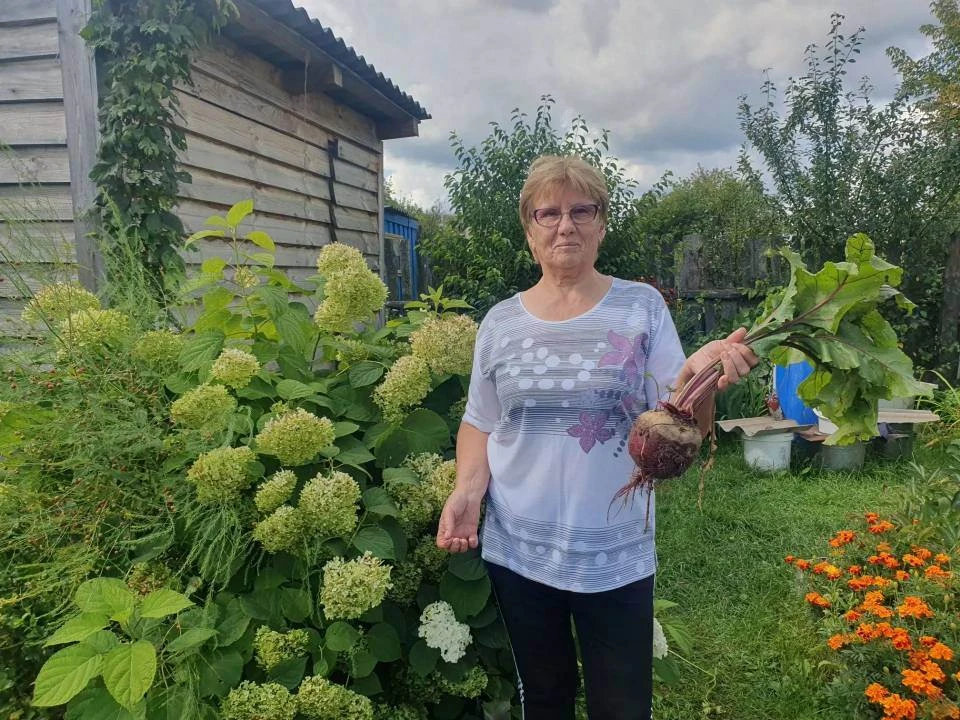 🍅Праздник урожая