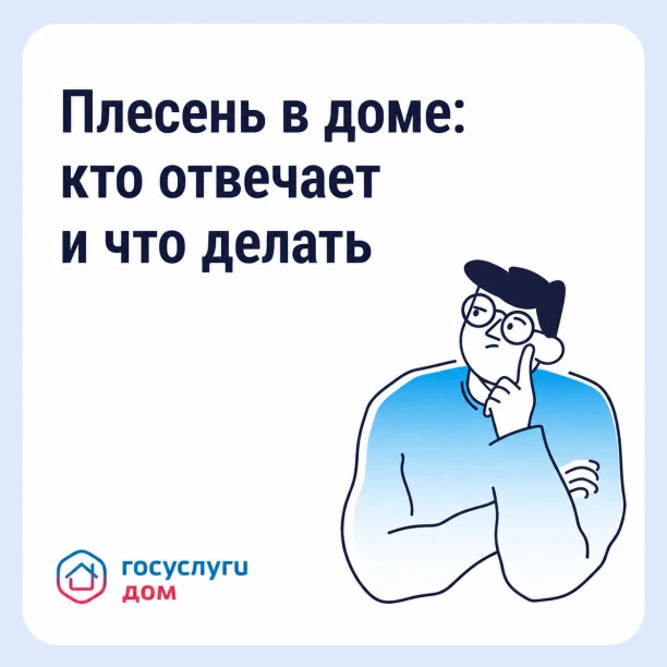 Что делать, если в квартире появилась плесень? Причин появления плесени может быть неск...