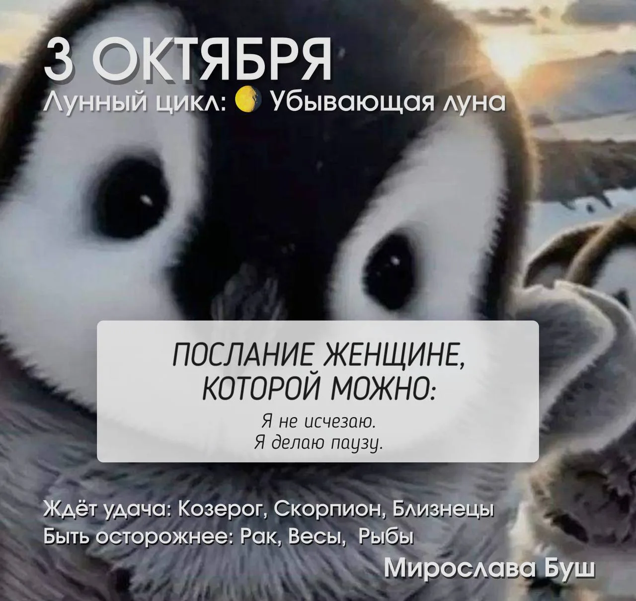 3 октября РЕКОМЕНДАЦИИ 🌛