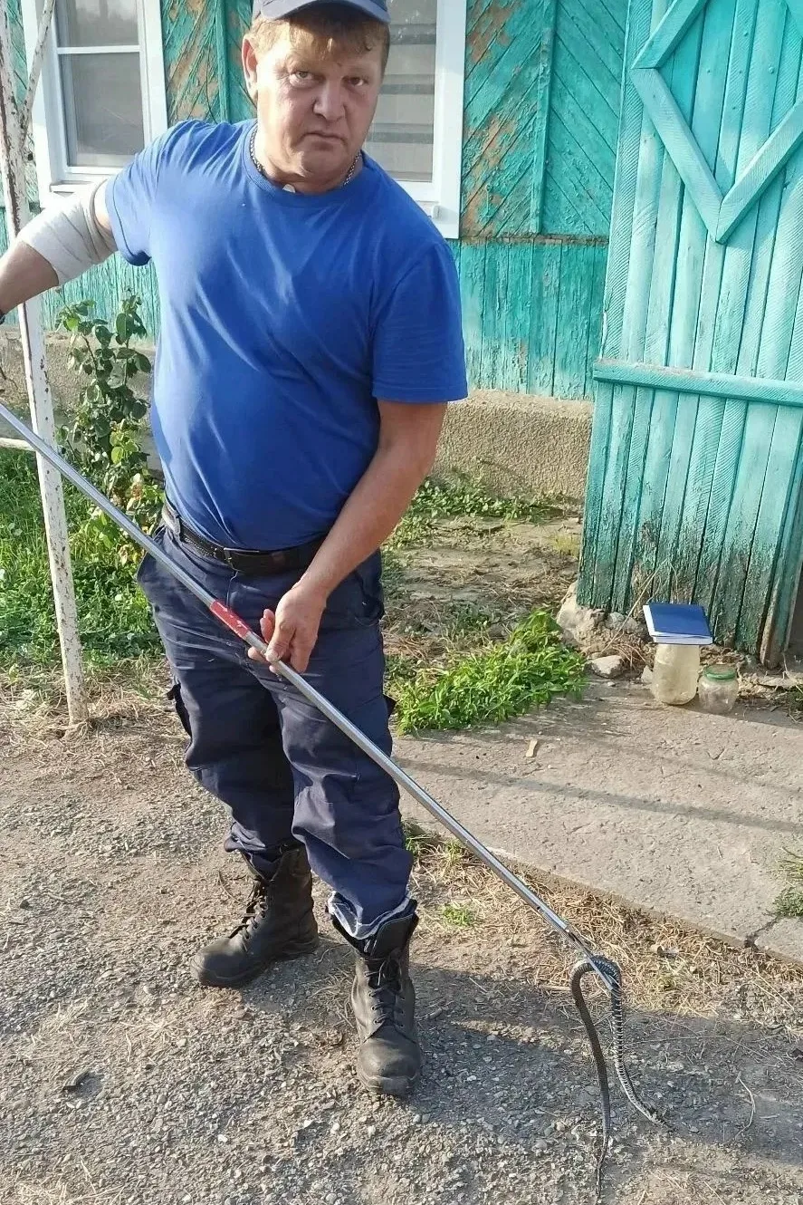🐍 На Ставрополье спасатели дважды выезжали на поимку змей в домах жителей