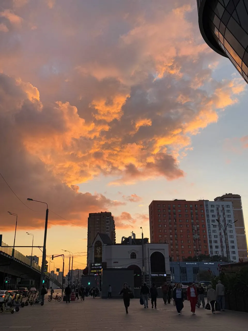 Последний невероятный летний закат 🌅