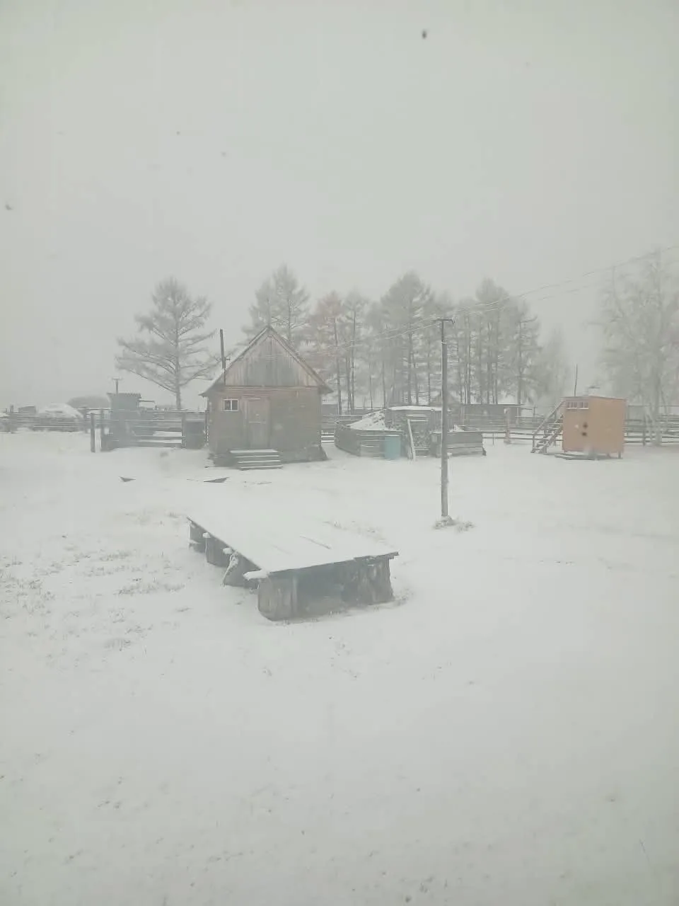 Замечательный подписчик @pryanayayakutia: