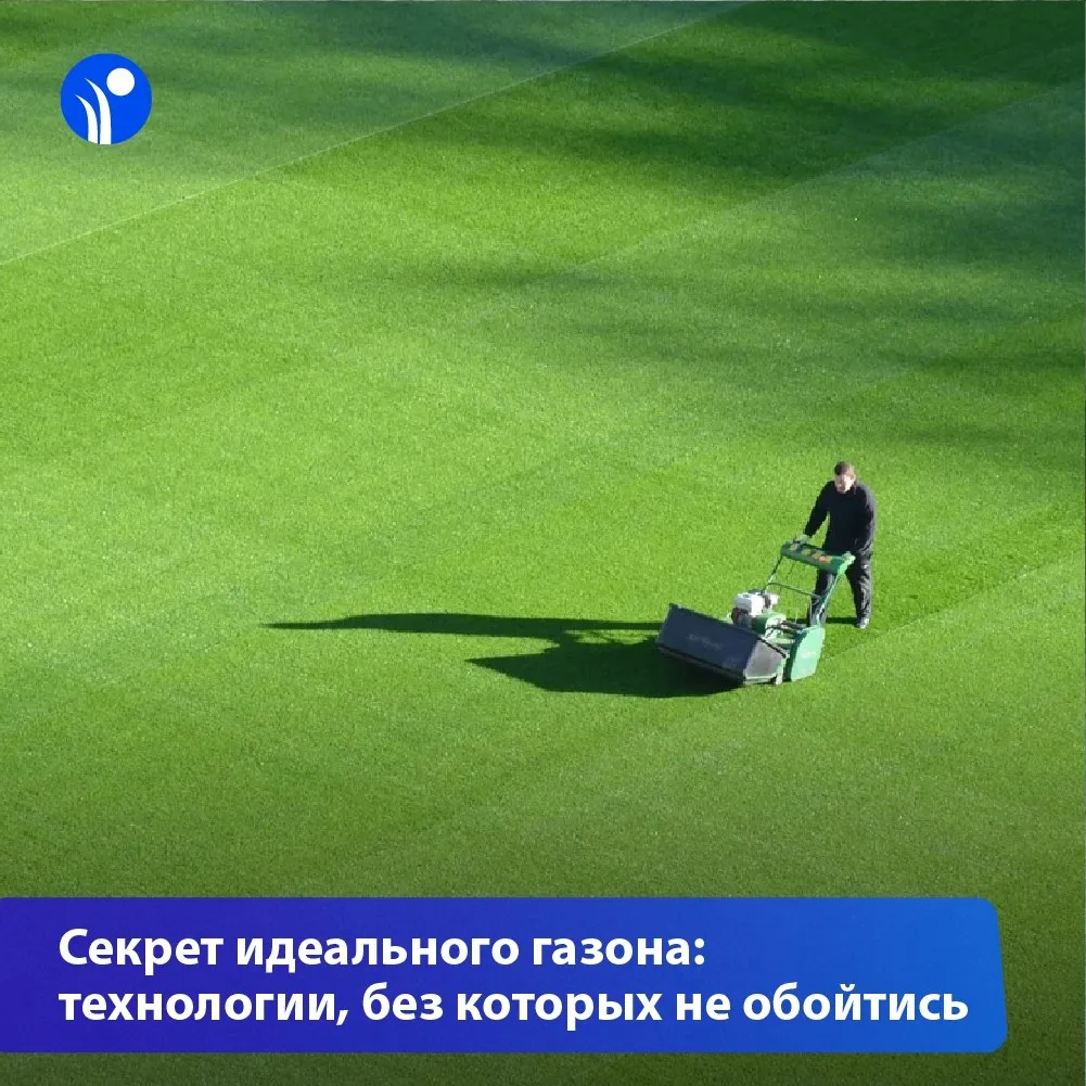 🌱 Почему газон может «умирать» даже при хорошей агрономии?
