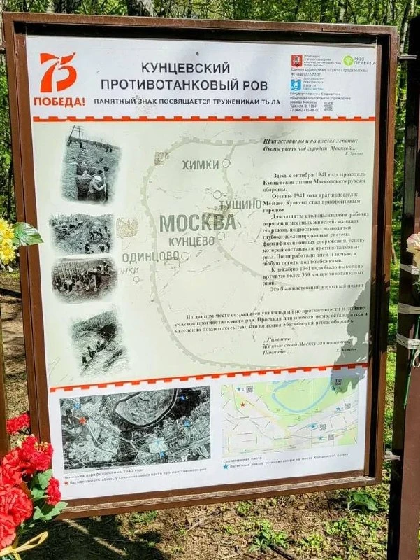 🕯️ В Кунцевском лесопарке сохранился противотанковый ров