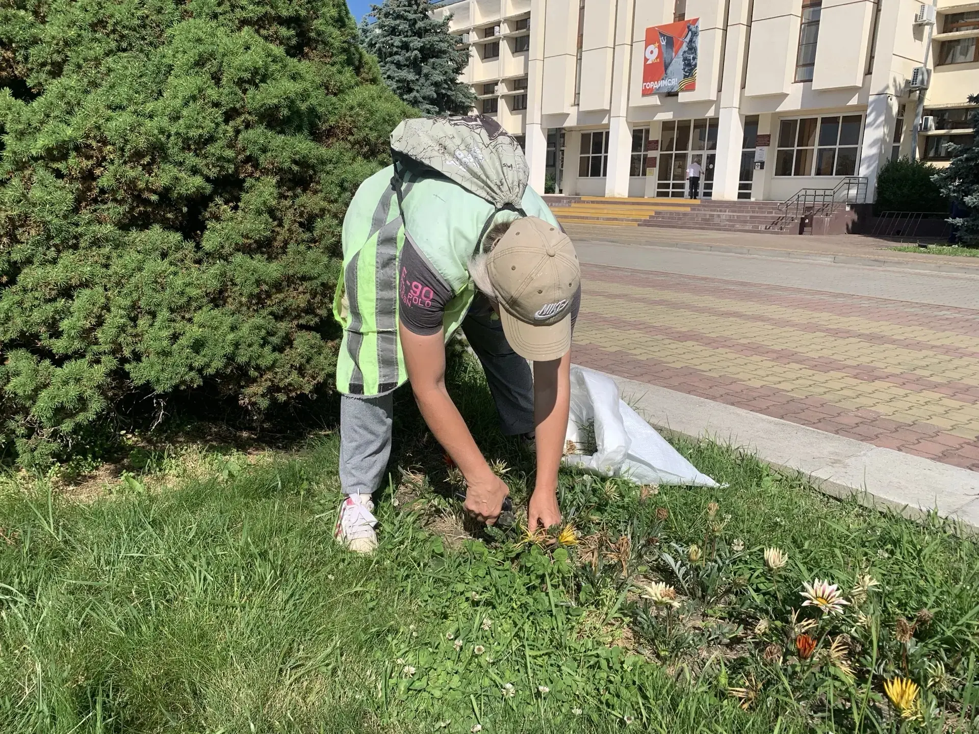 Прополка и удаление отцветших цветов