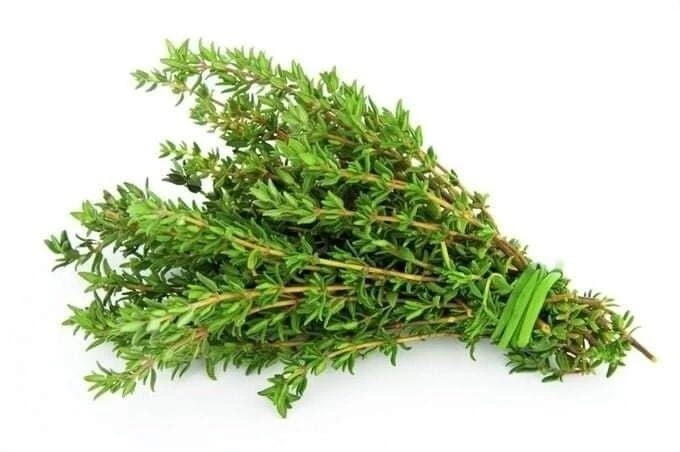 🌿🌿🌿НЕВЕРОЯТНО МОЩНАЯ ТРАВА! УНИЧТОЖАЕТ СТРЕПТОКОКК, ГЕРПЕС, КАНДИДУ, ВИРУС ГРИППА И ...