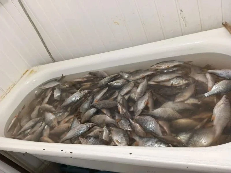 Двоих таганрожцев поймали с «левой» рыбой на 560+ тыс. ₽ 🐟