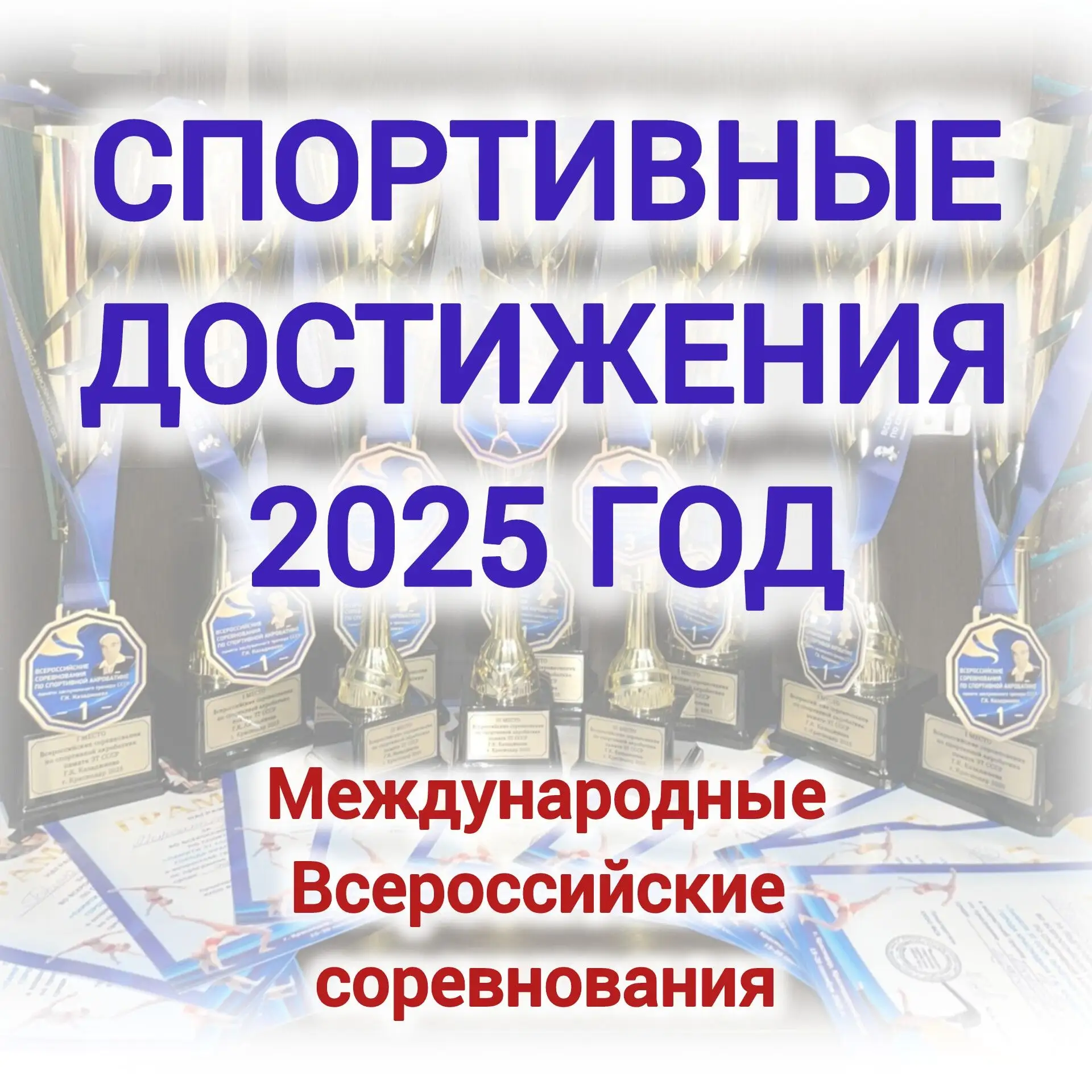 В 2025 году наша школа продемонстрировала впечатляющие достижения в области спортивной деятельности,