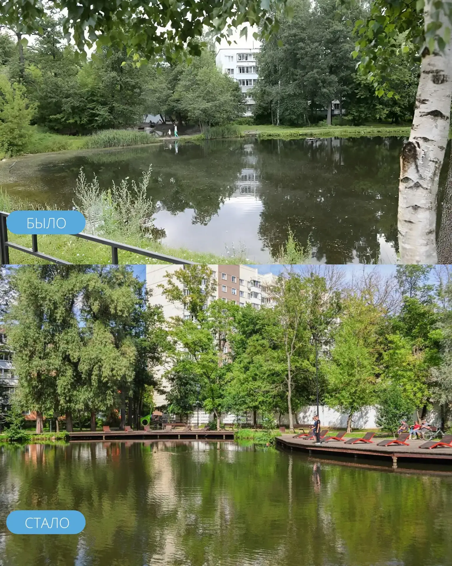 🤍 Зона отдыха у пруда Чернавка в центре Раменского, созданная в 2019 году в рамках нац...
