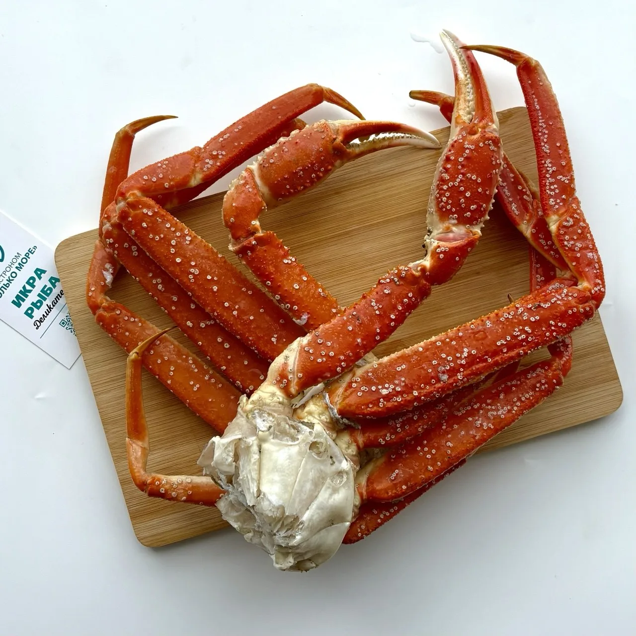 🦀 КРАБ СТРИГУН ОПИЛИО | КЛЕШНИ