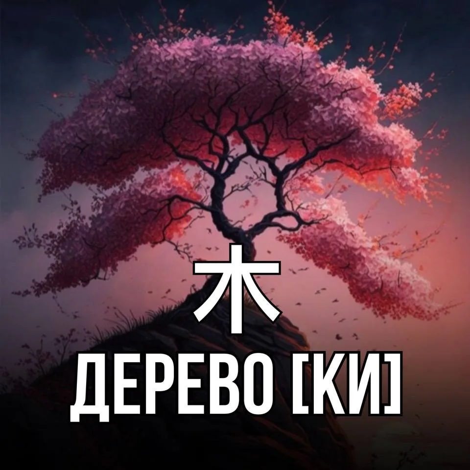 🌳 Дерево - 木 [ки] – многолетнее растение с твёрдым стволом, от которого отходят ветви ...