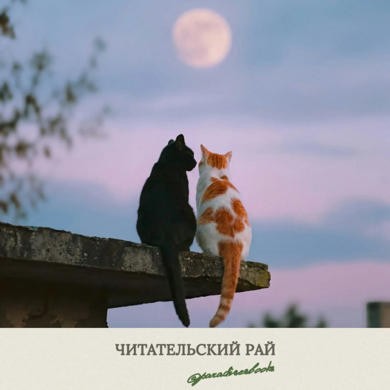 🪶 Вячеслав Щедрин