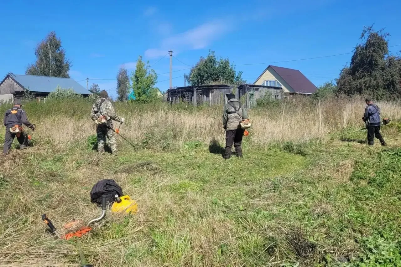 В Кургане продолжается реализация комплекса мер по предупреждению ландшафтных пожаров и...