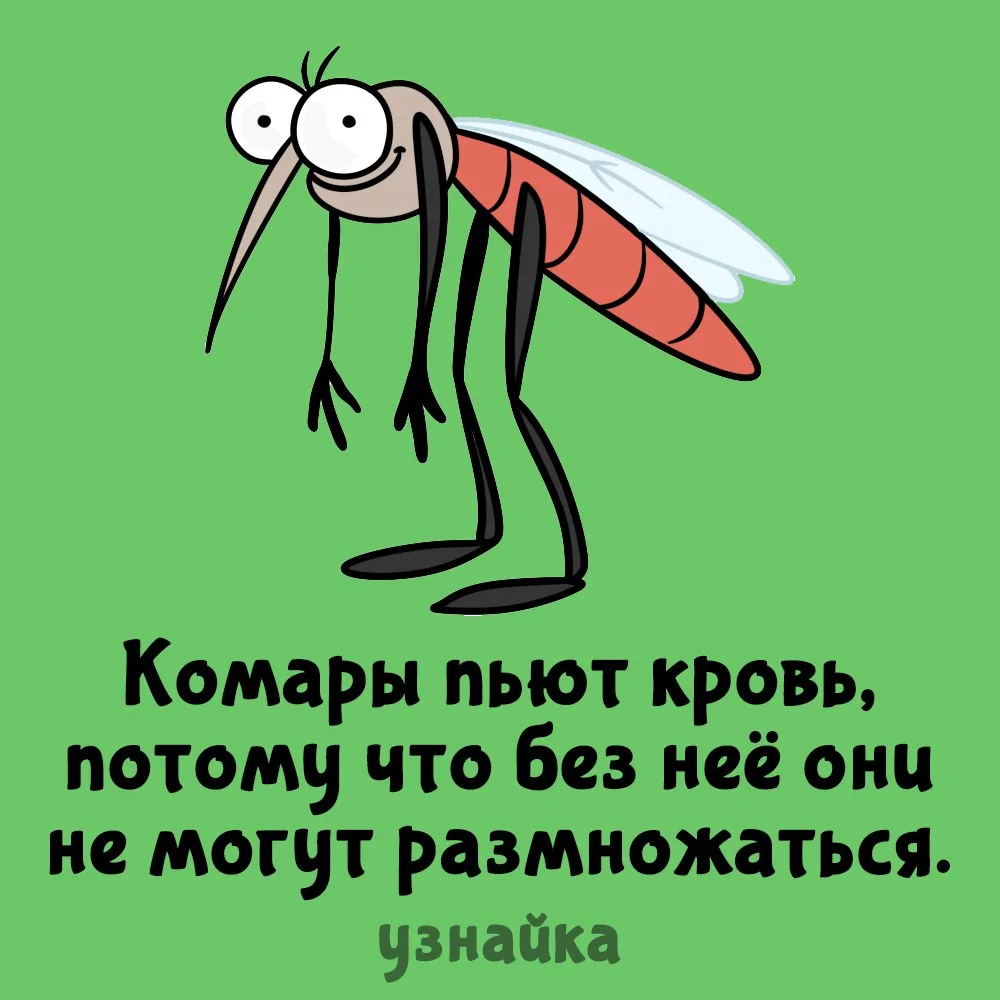 Мне стало не по себе😕
Узнайка