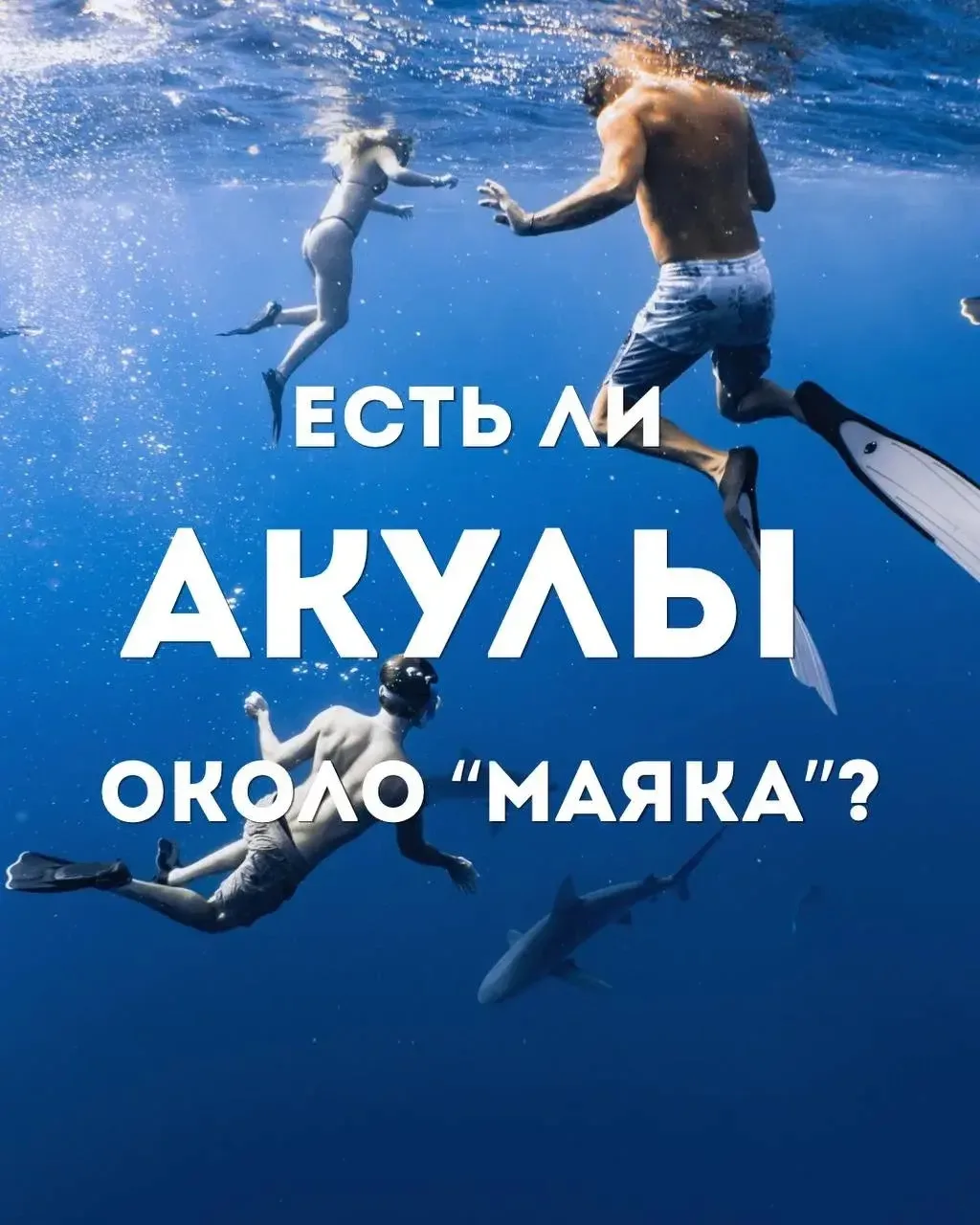 🦈 Есть ли акулы в черном море у побережья санатория «Маяк»?

Хищные акулы - нет!
Трусливые мелкие а