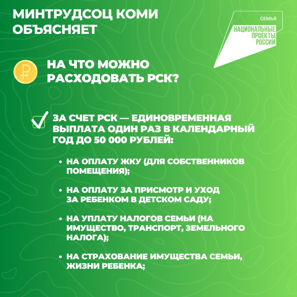 Национальный проект «Семья»: в Коми при рождении или усыновлении третьего или последующего ребенка с