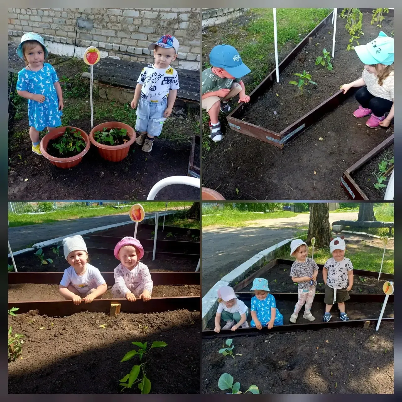 🏷 Наблюдение за природой: знакомство малышей с цветами и огородом.
📍Сегодня в нашей группе раннего