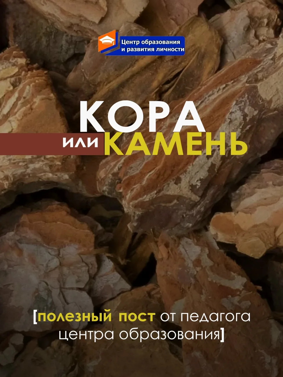 Педагог курса «Ландшафтный дизайн» Светлана Бурматова 😉🎁