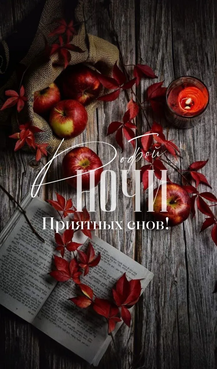 Пенсионеры онлайн ✅