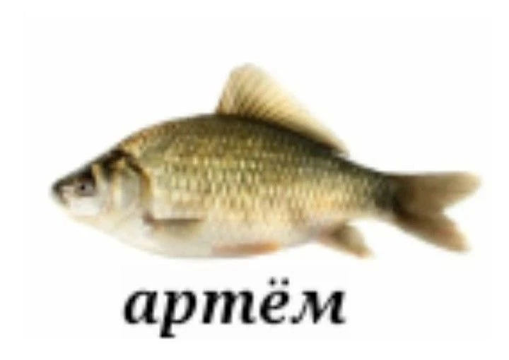 кидай артему