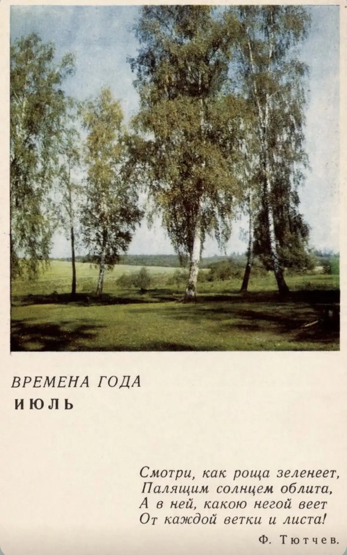 ТЮТЧЕВСКОЕ ЛЕТО

 🗓Лето в произведениях русских классиков — это всегда нечто особенное.

 Сегодня м