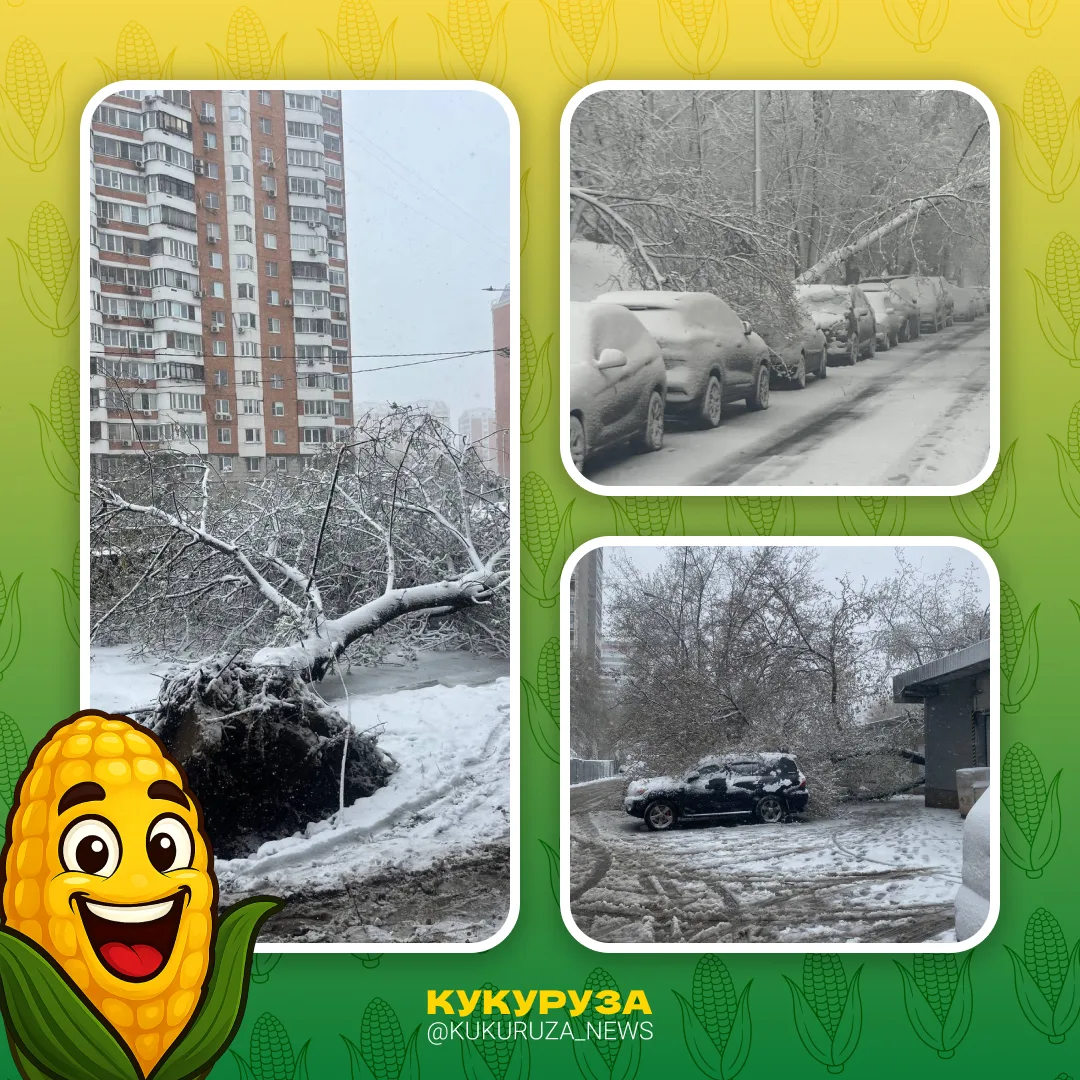 Жесткий снегопад обрушился на Москву. Ветер крушит деревья, в метро -- толпы. Такси не справляется с