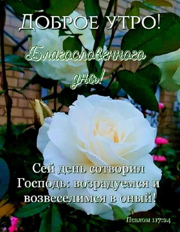 ❤️❤️❤️❤️Открытки❤️❤️❤️❤️