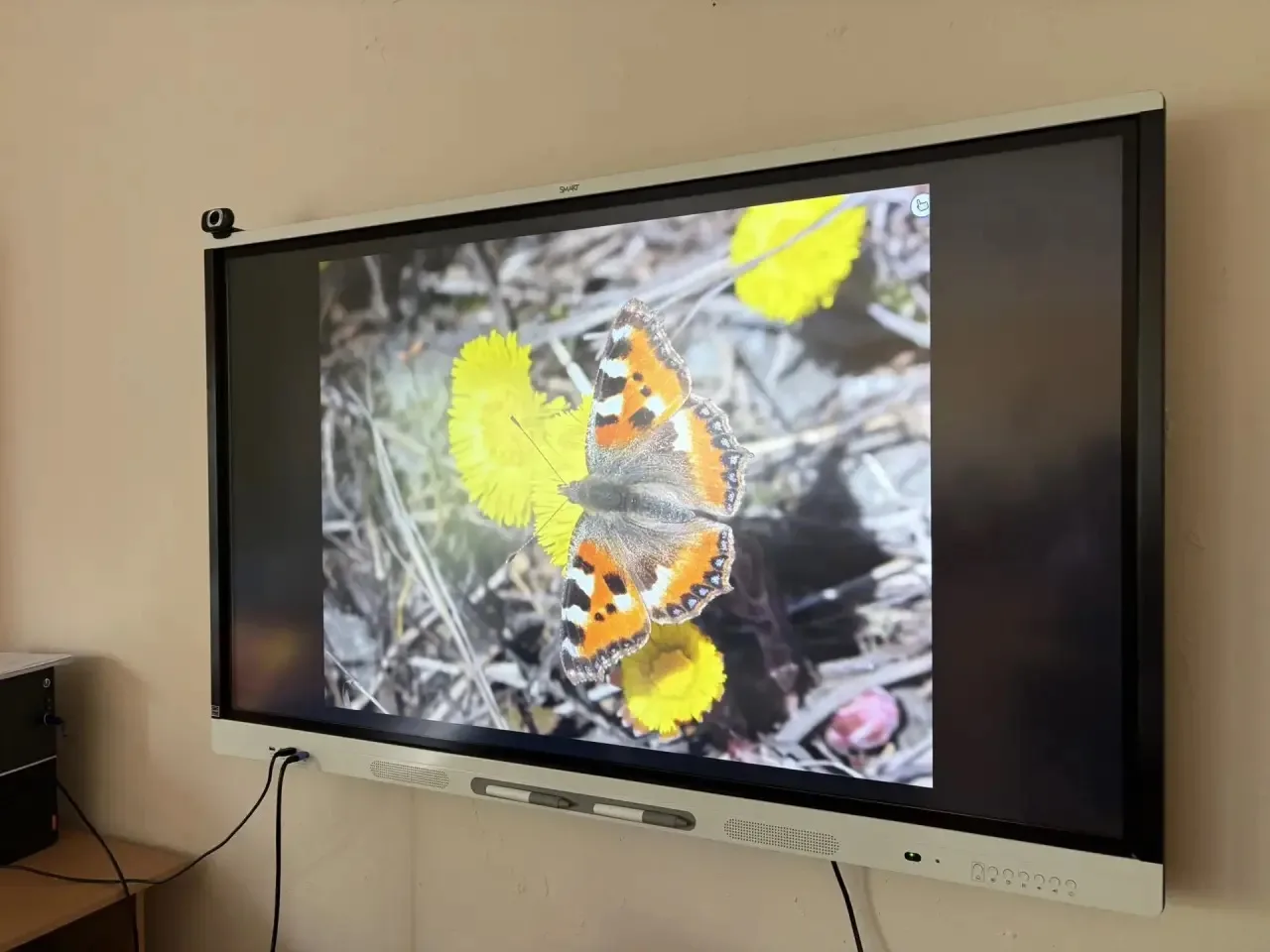 🪄Познавательный досуг в летнем лагере «Радуга».
🦋 В нашем школьном лагере «Радуга» день был посвящ