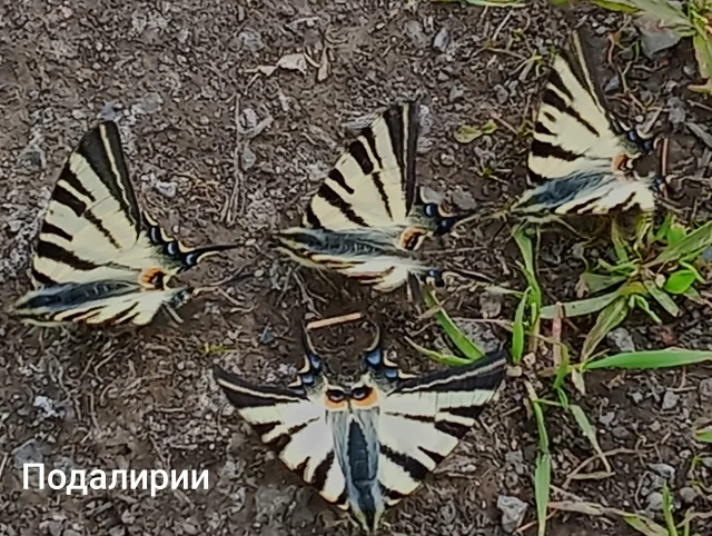 Продолжаем вести  наш репортаж с балки в западной нашего города.  Мы прошлись по гребню одного из  б