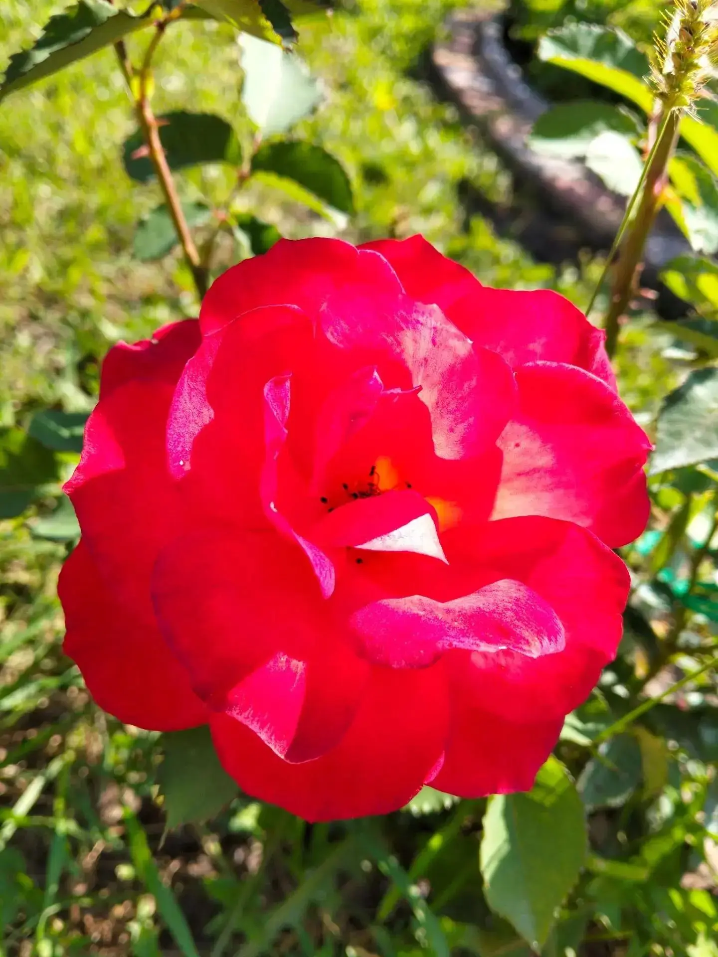 🌞 Воскресное доброе утречко.