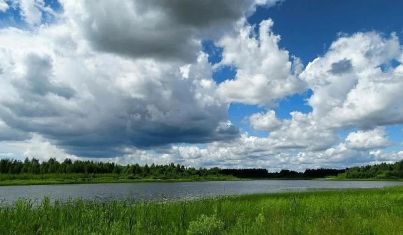 Синоптики рассказали о погоде в Кировской области на 11 июля