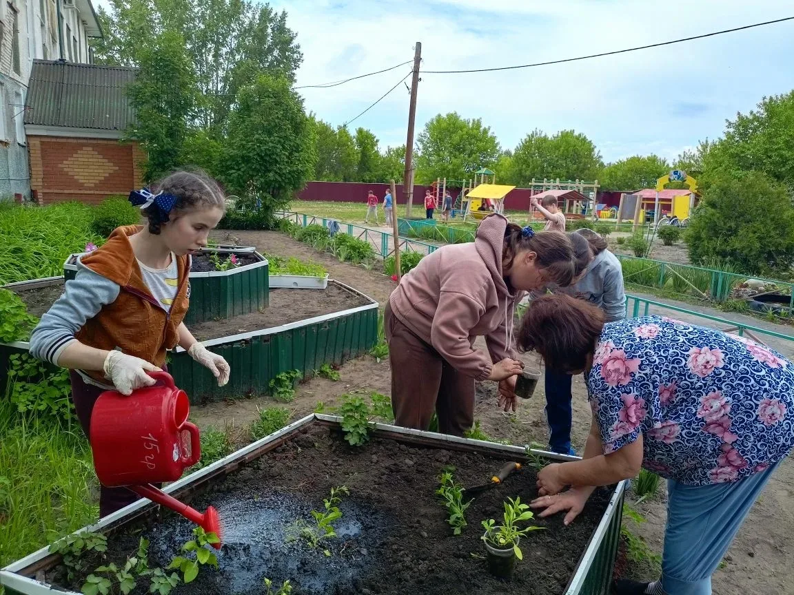 В стенах нашего учреждения социального обслуживания, появилась традиция-совместное выращивание расса