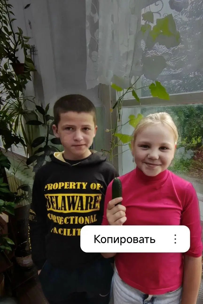Еще один первый урожай, но уже в 3 классе! 🥳Ученики 3 класса провели эксперимент по выращиванию огу
