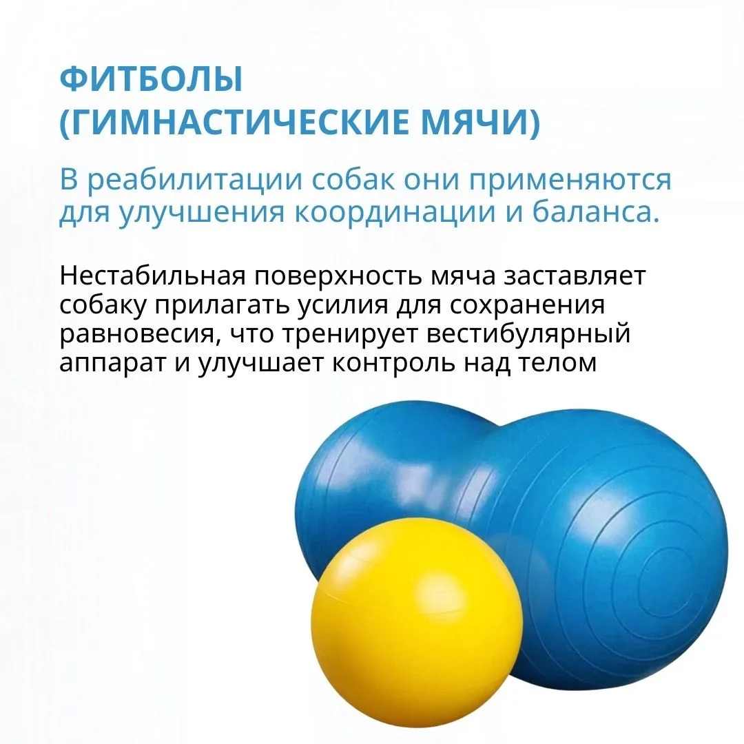 ИНВЕНТАРЬ РЕАБИЛИТОЛОГА