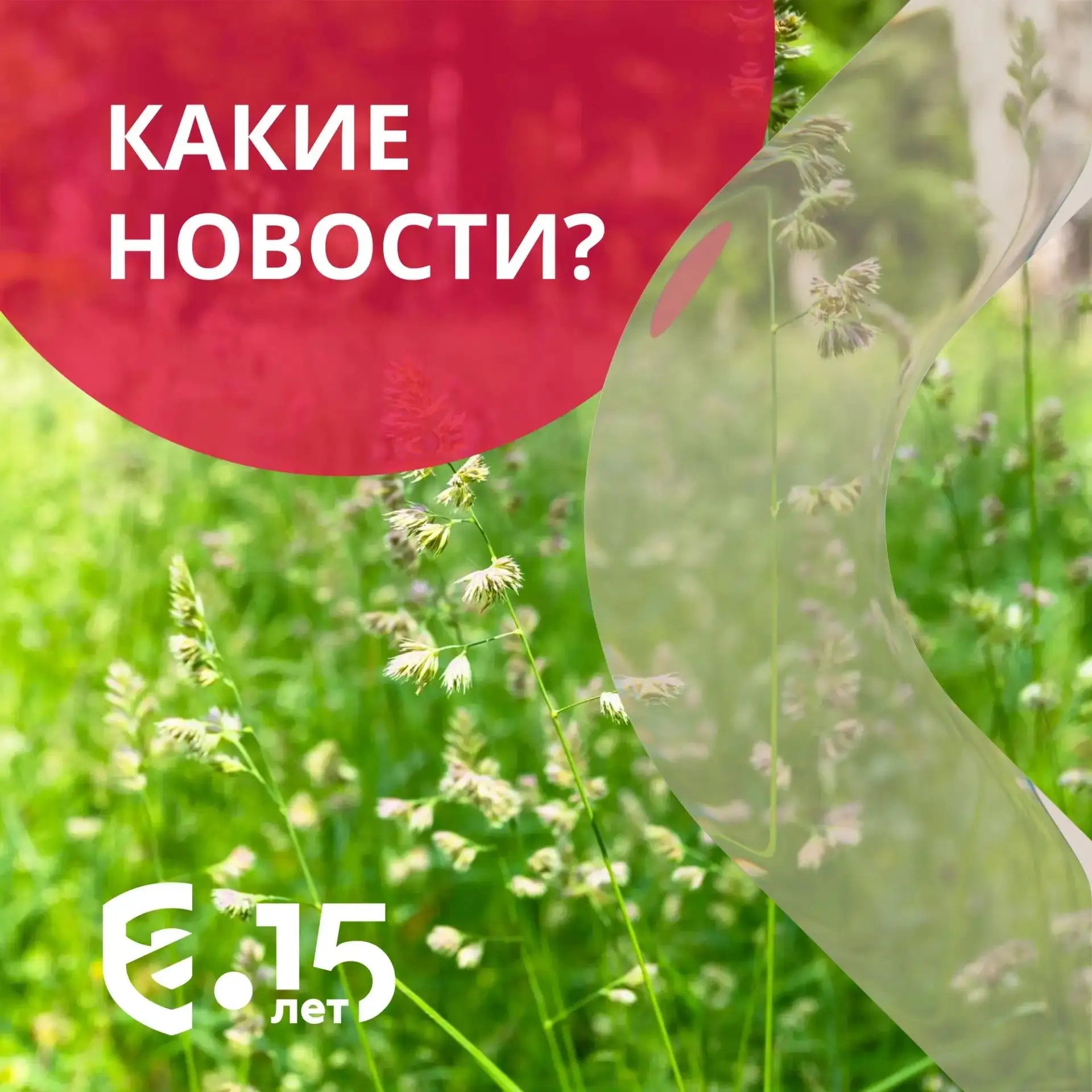 📰 Какие новости?

🔸 Производители электроники просят ужесточить контроль за локализацией продукции