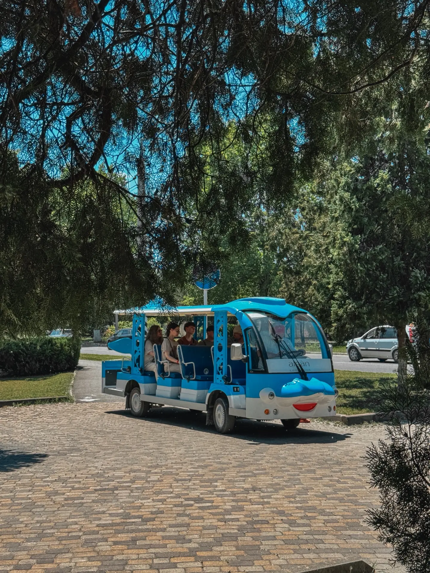 Сегодня состоялось торжественное открытие пляжа Alean Family Doville 🌊☀️

К этому дню были приуроче