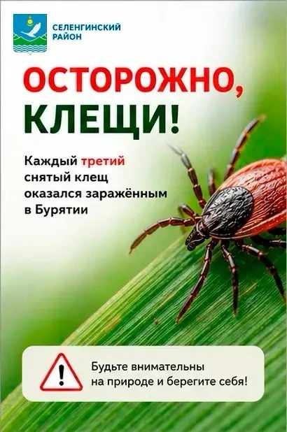 🕷Осторожно клещи!