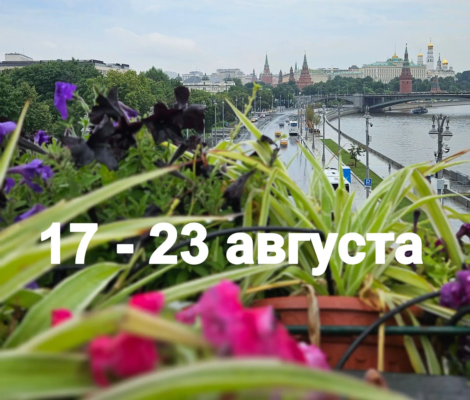 Собрали для вас всё самое интересное за неделю: