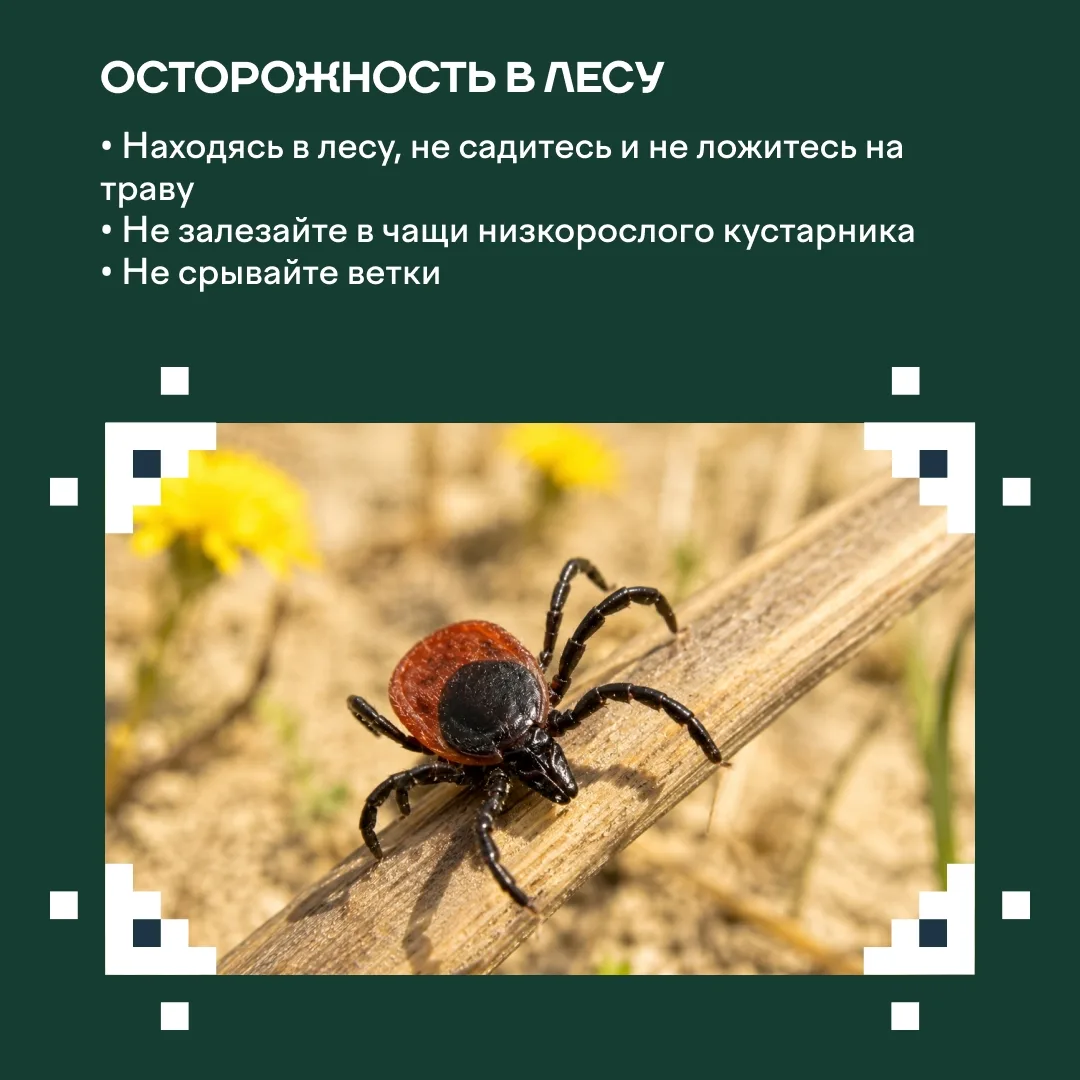 🌿 В наш округ возвращаются солнечные дни, хочется чаще гулять и наслаждаться весенними пейзажами. Но